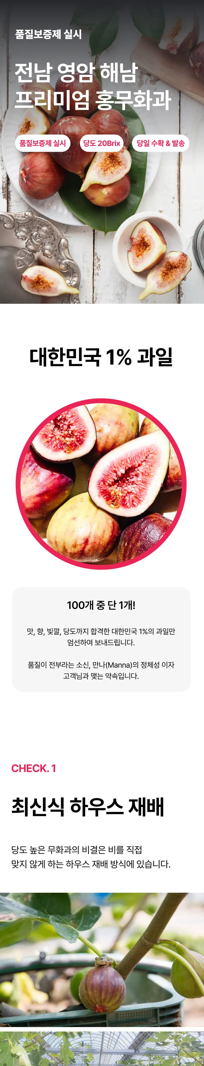 홍무화과 상세페이지