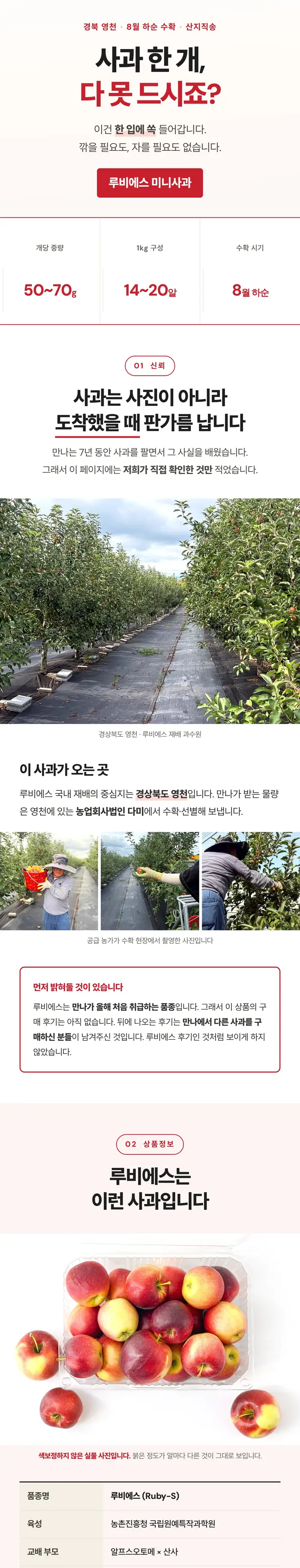 루비에스 사과 상세페이지